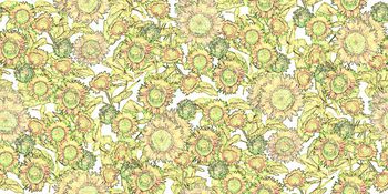 260398-文艺复古太阳花