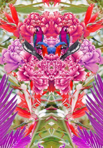 260439-前幅定位花卉热带植物鹦鹉鸟群组合印