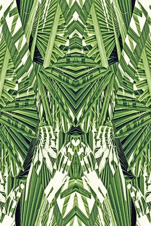 棕榈叶印花华亿平台图片