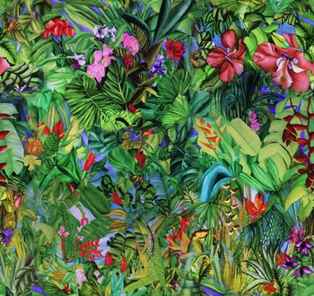 260561-201311y16热带花草