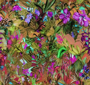 260562-201311y16热带花草