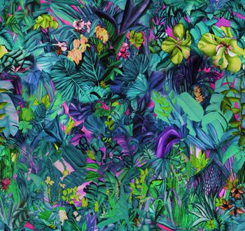 260564-201311y16热带花草