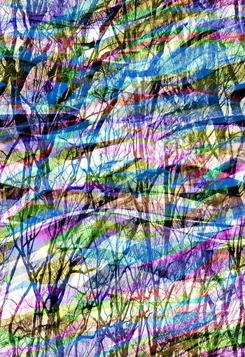 260625-多彩叠加树木树林风景
