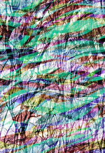 260627-多彩叠加树木树林风景