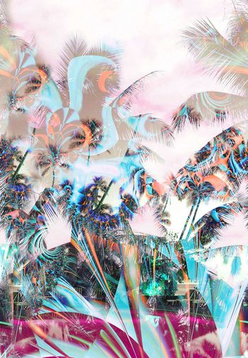 260779-前幅定位段花 花卉热带植物椰树休闲