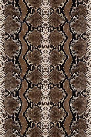 蛇纹印花华亿平台图片