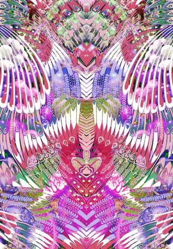 260888-前幅对称定位手绘插画羽毛色彩印花