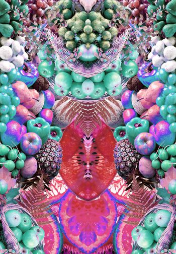 260891-前幅定位段花 水果热带植物休闲组合