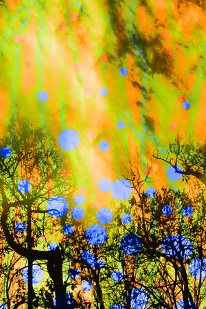 景观印花华亿平台图片