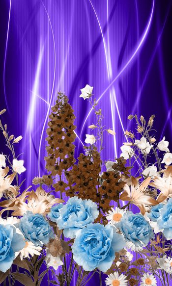 260924-数码定位服装华亿平台