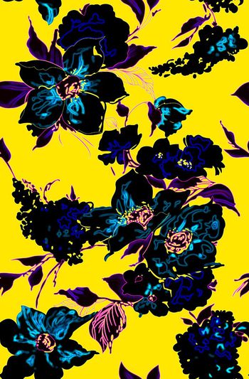 261072-风一样自由