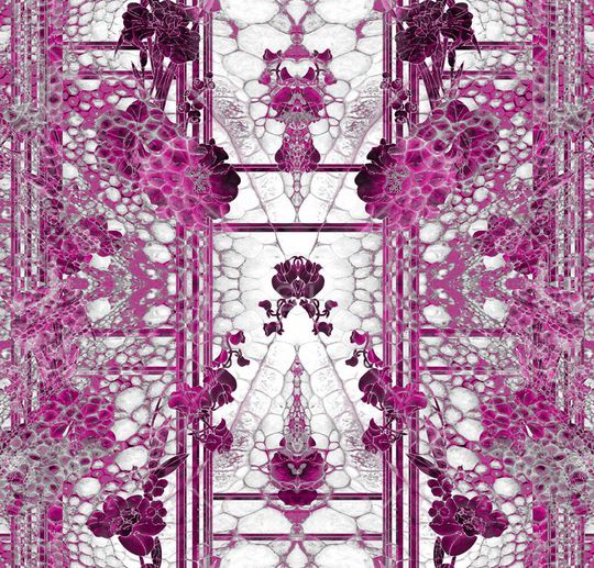 U-植物花卉/Botany印花华亿平台图片