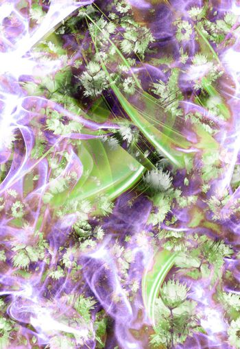 261211-多彩抽象光影花卉花朵