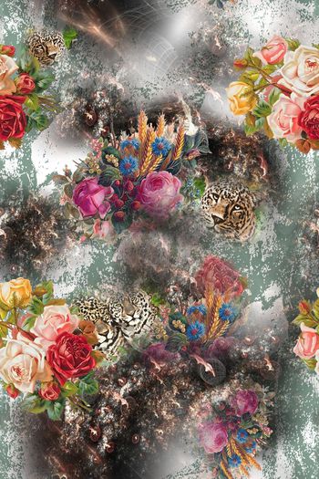 261255-201311y23花卉虎头