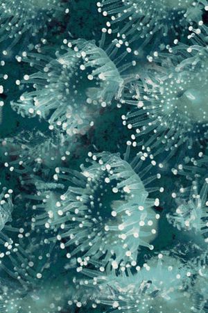 ♥红桃A〖复古时代〗印花华亿平台图片