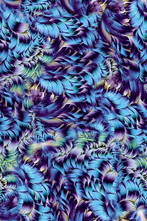 渐变 羽毛 华丽 肌理 数码 服装印花华亿平台图片