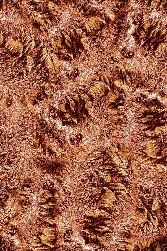 动物纹印花华亿平台图片