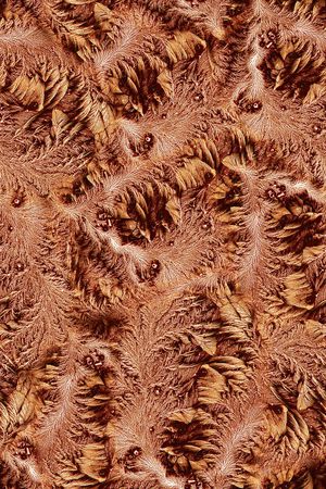 动物纹印花华亿平台图片