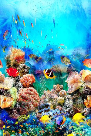 海底印花华亿平台图片