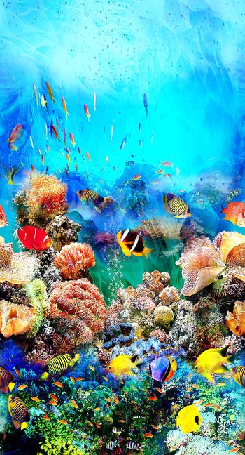 海底印花华亿平台图片