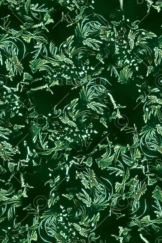 卷草印花华亿平台图片