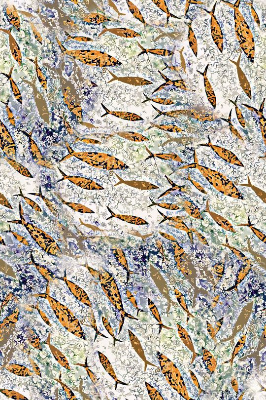 鱼印花华亿平台图片