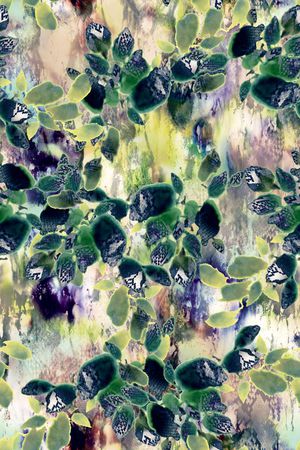 斑点印花华亿平台图片