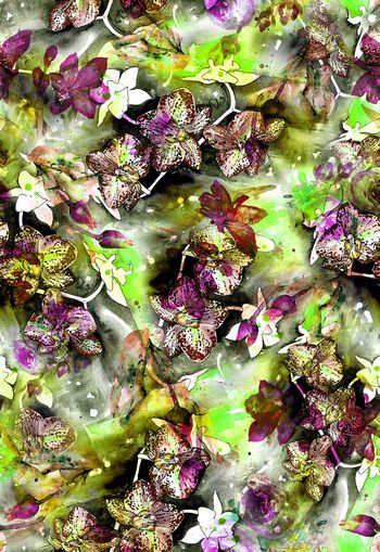 261872-水彩水墨效果花卉花朵组合