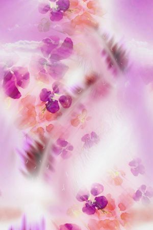 女装定位印花华亿平台图片