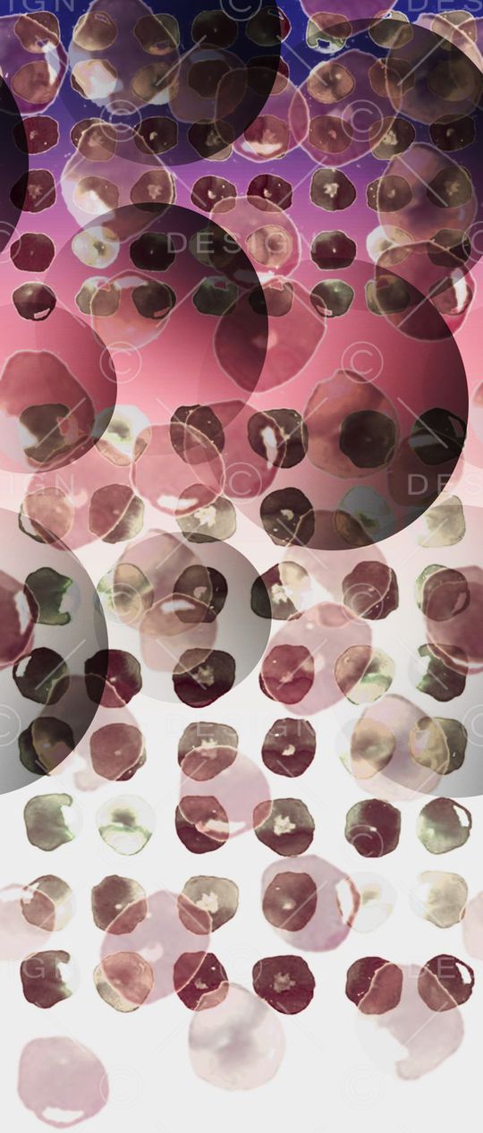 女装定位印花华亿平台图片