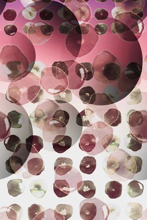 女装定位印花华亿平台图片