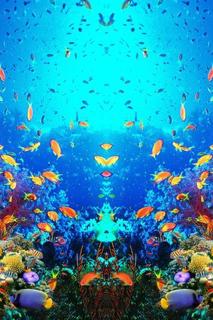 鱼类印花华亿平台图片