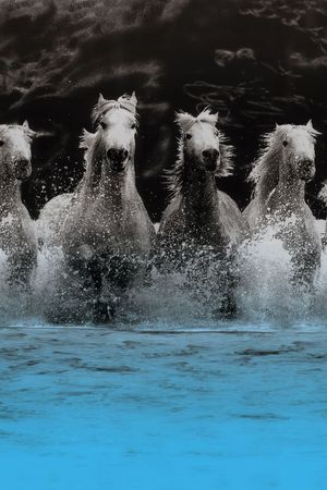 骏马印花华亿平台图片