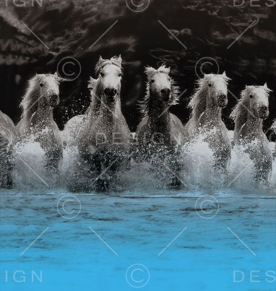 骏马印花华亿平台图片