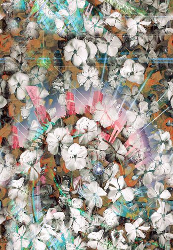 262176-WT208抽象变幻花卉分形彩色印花