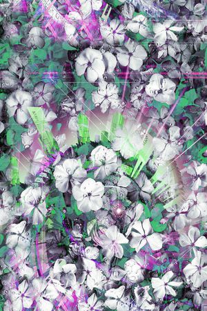 印花华亿平台图片