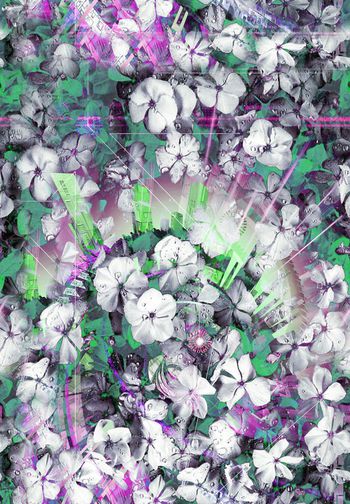 262177-抽象变幻花卉分形彩色印花华亿平台