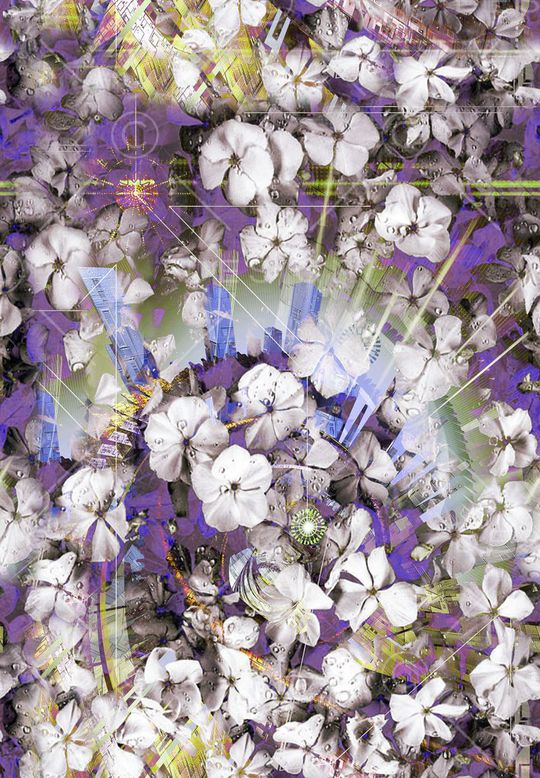 印花华亿平台图片