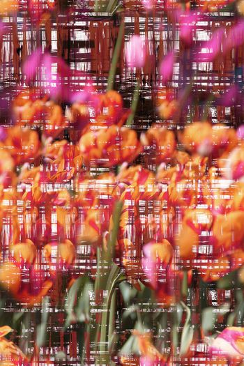 262432-抽象笔触水彩花卉印花条格