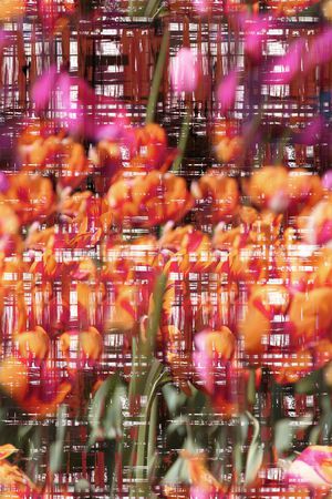 印花华亿平台图片