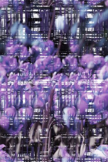 262433-抽象笔触水彩花卉印花条格