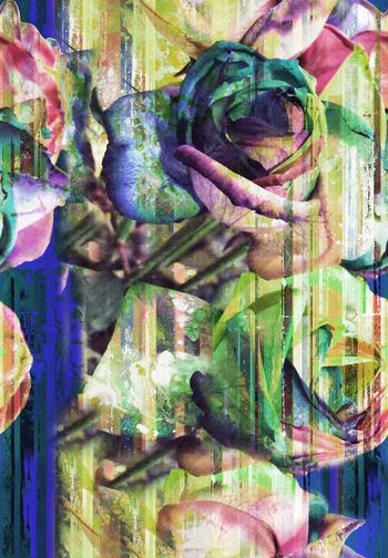 262443-前幅定位花暗夜神秘玫瑰花卉水墨笔触