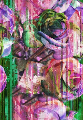 262444-前幅定位花暗夜神秘玫瑰花卉水墨笔触