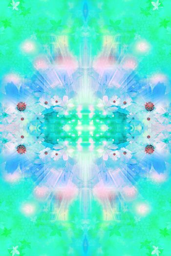 262608-201312y02梦幻花卉1