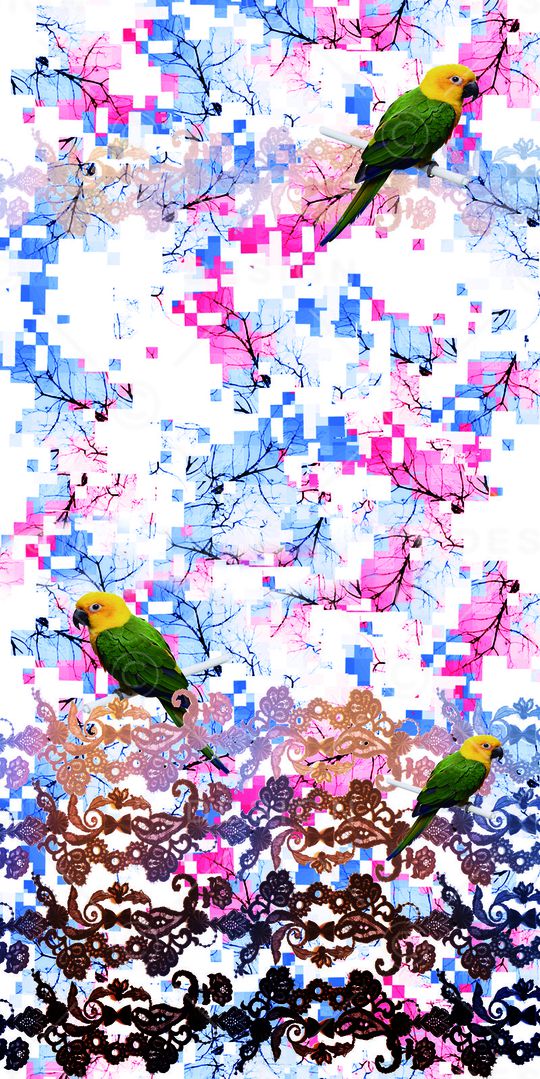 蕾丝印花华亿平台图片