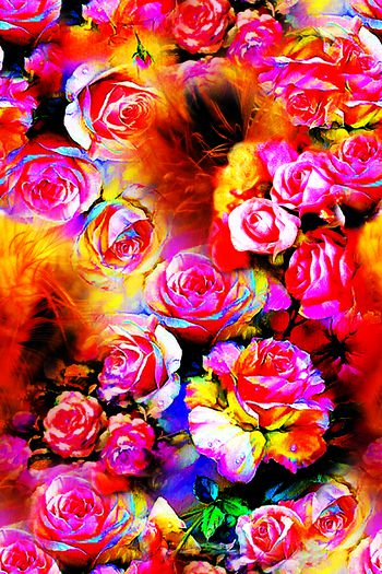 262729-201312y02羽毛与花-1