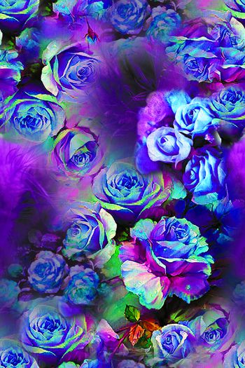 262731-201312y02羽毛与花-1