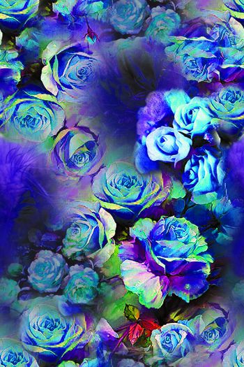 262732-201312y02羽毛与花-1