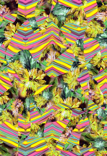 262739-线条条纹油画花卉花朵拼接组合