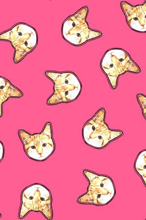 猫头印花华亿平台图片